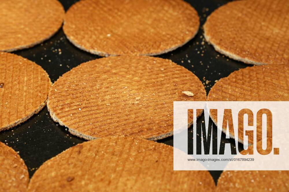 Dutch stroopwafel waffles cookies on baking pan, Close up many freshly baked traditional round shaped sweet Dutch stroopwafel (syrup waffles) cookies on baking pan, high angle view, Close up many freshly baked traditional round shaped sweet Dutch stroopwafel (syrup waffles) cookies on baking pan, high angle view, 28.01.2022,
