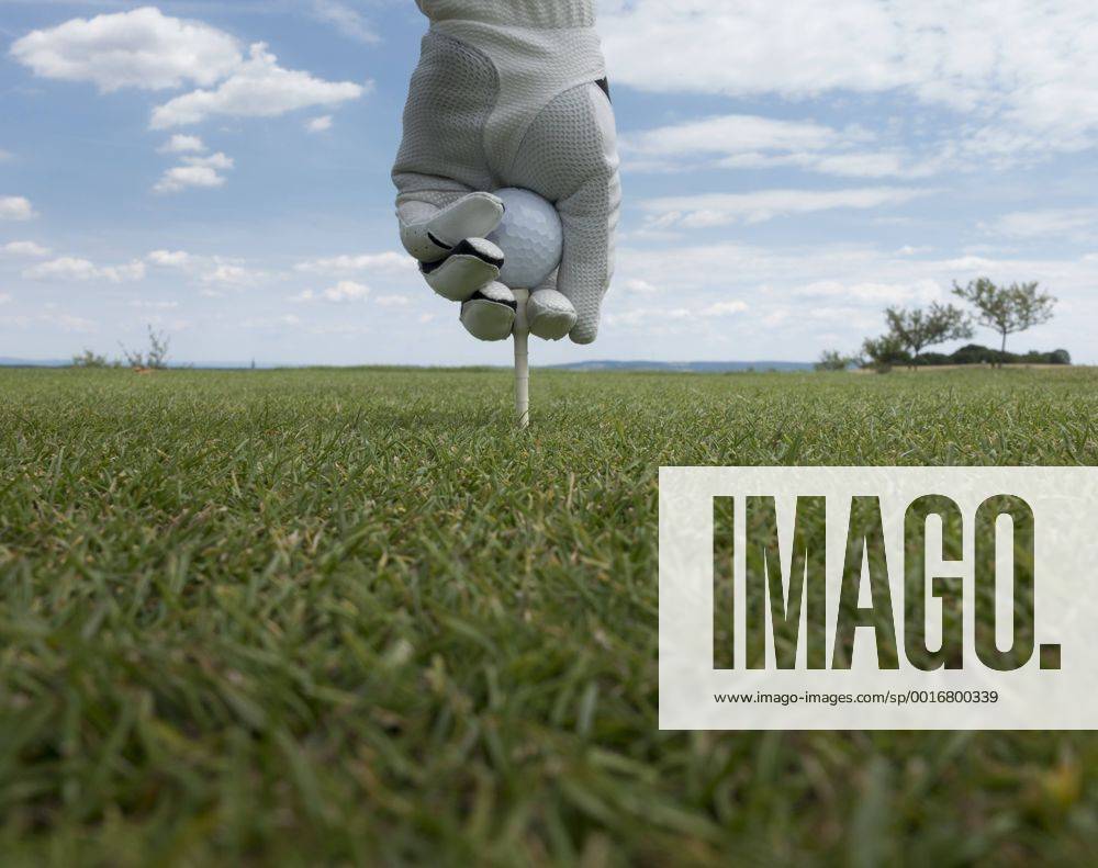 Golfball wird auf einen Tee gelegt, Deutschland, Europa ibxmmx03934673