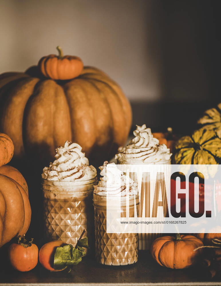 Pumpkin latte coffee with whipped cream in glasses on table Pumpkin spice latte coffee drink topped with whipped cream and cinnamon in tall glasses among fresh pumpkins and persimmons on table, grey wall at background. Seasonal Autumn hot warming sweet drink