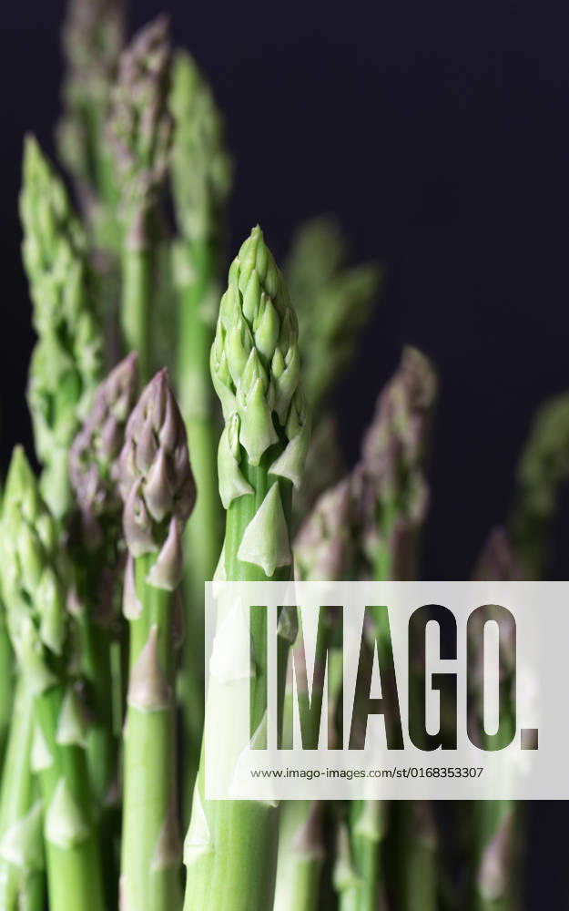 Purple and green asparagus spears against a dark background. Purple and green asparagus spears against a dark background.