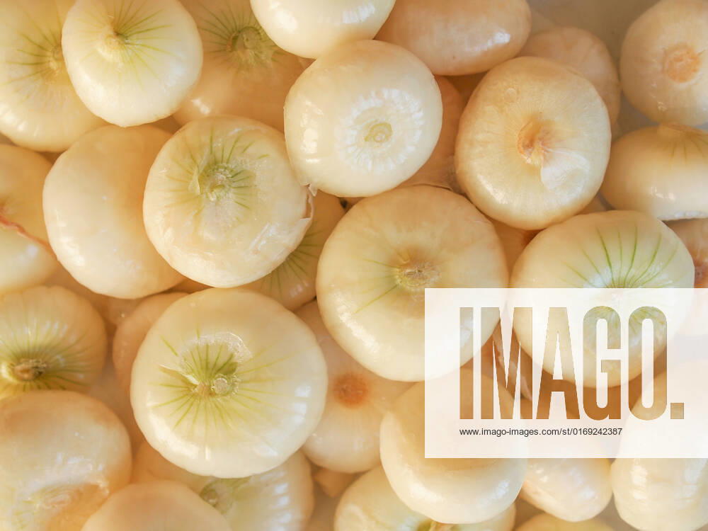Onion (Allium cepa) also known as garden or bulb onion , 10487896.jpg, onions, onion, allium, cepa, also, known, garden, bulb, cuisine, nutrition, red, white,