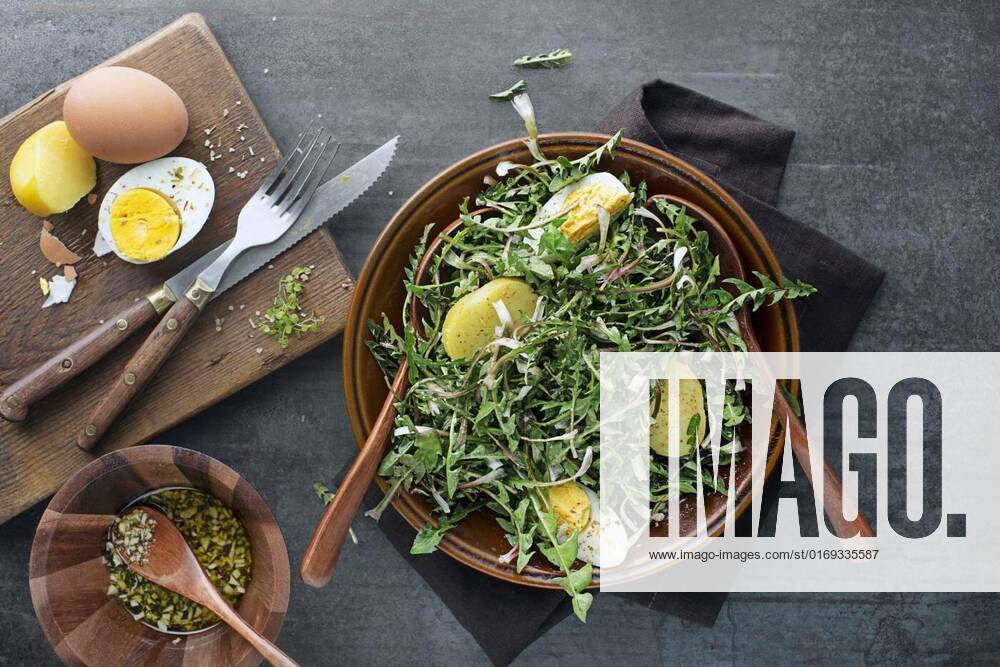 Dandelion salad, Healthy dandelion salad with potato and egg on grey background close up, Healthy dandelion salad with potato and egg on grey background close up, 04.04.2022,