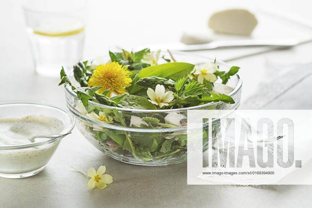 Spring salad, Spring salad with dandelion, asparagus, wild garlic, flowers, nettle and cream cheese. Healthy spring detox food ingredients., Spring salad with dandelion, asparagus, wild garlic, flowers, nettle and cream cheese. Healthy spring detox food ingredients., 29.04.2022,