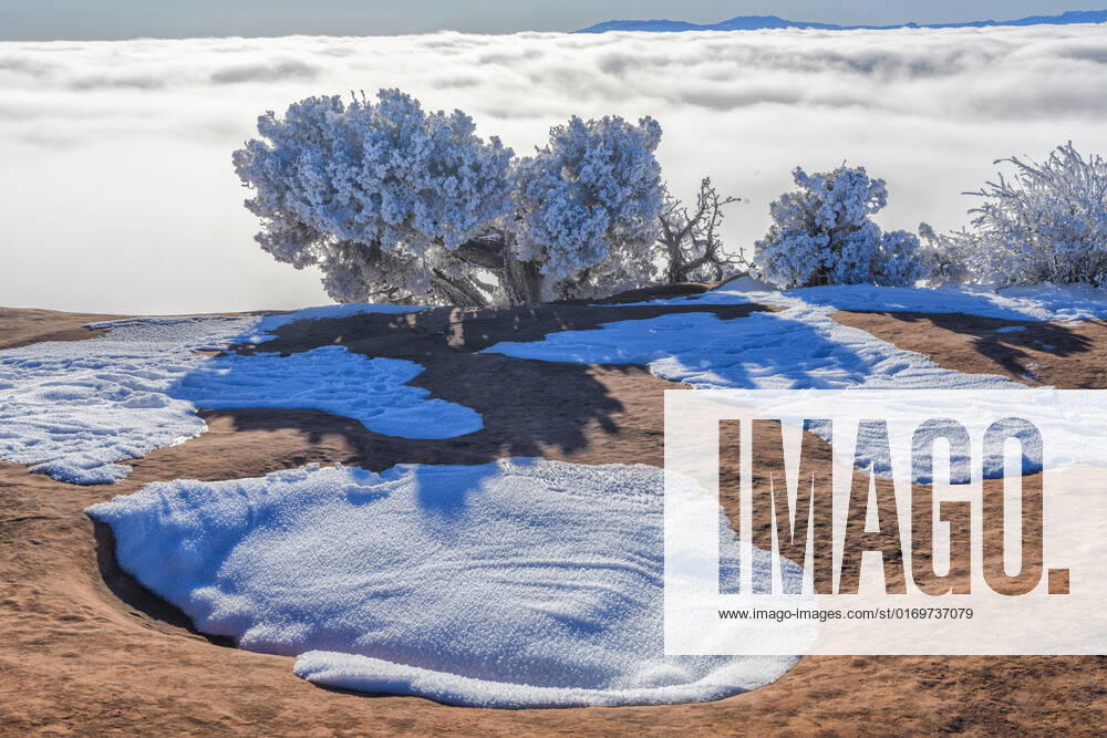USA, Southwest, Utah, Moab, Canyonlands National Park, Island in the Sky