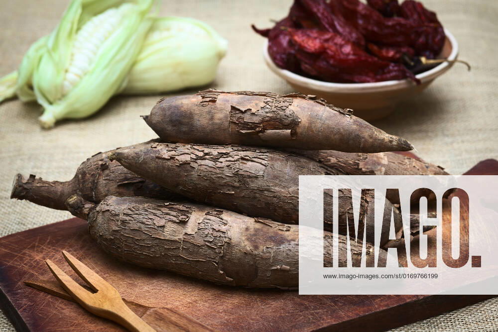 IMAGO Creative, Food, Tapioka A pile of manioc (Lat. Manihot esculenta) on wooden board with corn and dried hot pepper in the back photographed with natural light (Selective Focus, Focus on the front manioc) , 15883752.jpg, manioc, cassava, tapioca, root, vegetable, raw, fresh, food, ingredient, yuca, crop, starchy, starch, tuberous, carbohydrate, staple, tuber, nutrition, uncooked, pile, many, wooden, board, natural, light, natural light , Manihot esculenta , Manihot, esculenta, horizontal,