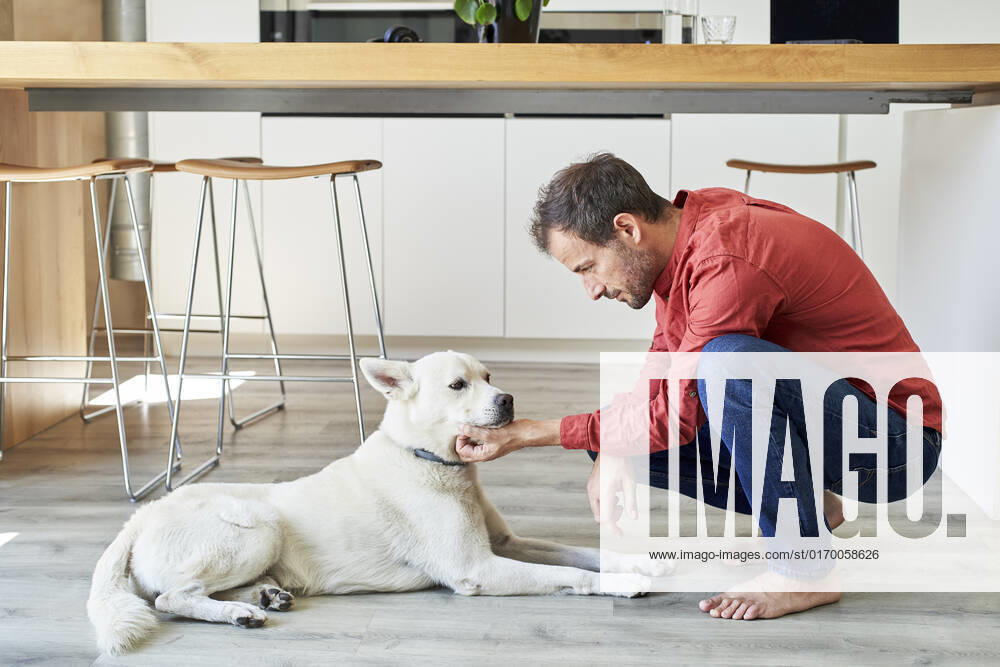 Man stroking his dog at home model released, Symbolfoto property released, VEGF05929