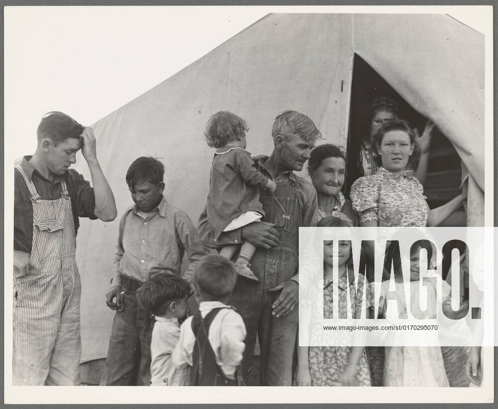 In Farm Security Administration (FSA) migrant labor camp during pea harvest. Family from Oklahoma with eleven children. Father, eldest daughter and eldest son working. 1939. Photographs. The Miriam and Ira D. Wallach Division of Art, Prints and Photographs: Photography Collection. California , Brawley, California , Imperial County, Migrant agricultural laborers, Migrant laborers families, Dust Bowl Era, 1931-1939