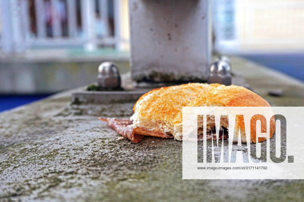 Food waste A salami roll lies discarded on the ground in the city