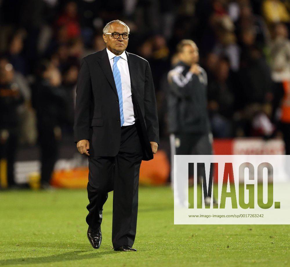 Fulham s Felix Magath looks on dejected at the final whistle - Sky Bet Championship - Fulham vs Wolverhampton Wanderers - Craven Cottage - London - England - 20th August 2014 - Picture David Klein Sportimage .