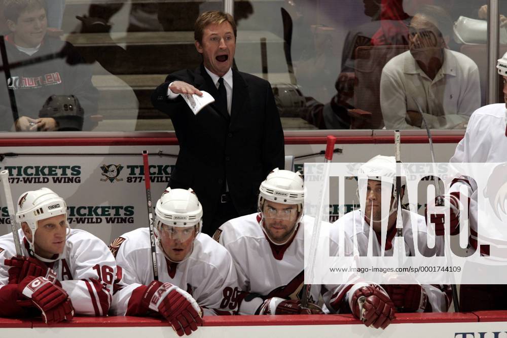 Trainer Wayne Gretzky (Phoenix Coyotes) steht hinter der Spielerbank und gibt lautstark Anweisungen - (Icon7405433) Eishockey Herren NHL 2005 2006, Vdig Gruppe Anaheim