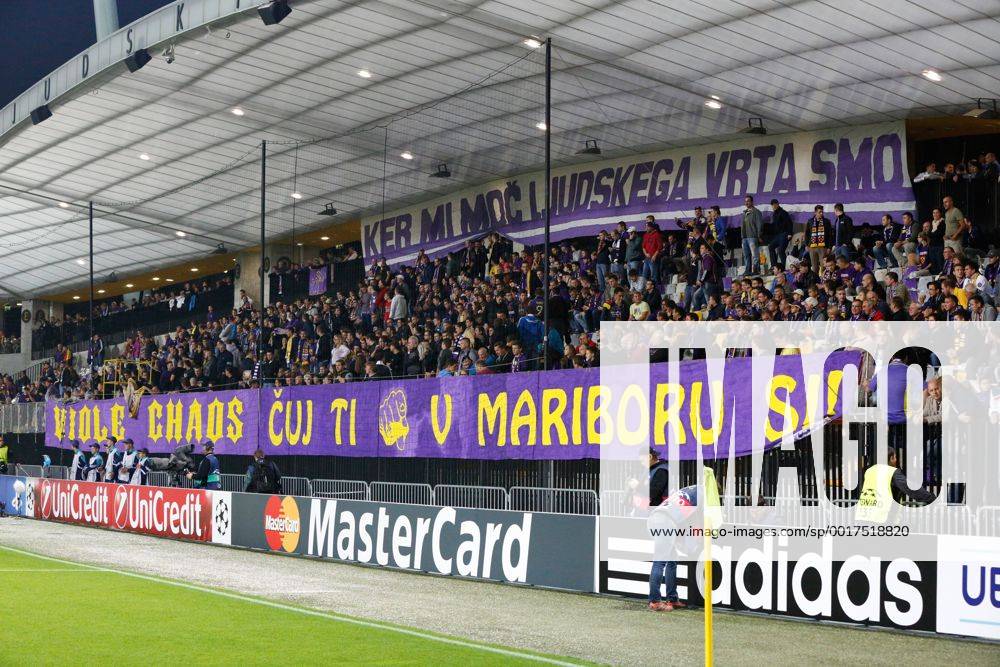 SOCCER - CL, Maribor vs Sporting MARIBOR,SLOVENIA,17.SEP.14 - SOCCER - UEFA Champions League, group stage, NK Maribor vs Sporting Clube de Portugal. Image shows fans of NK Maribor.