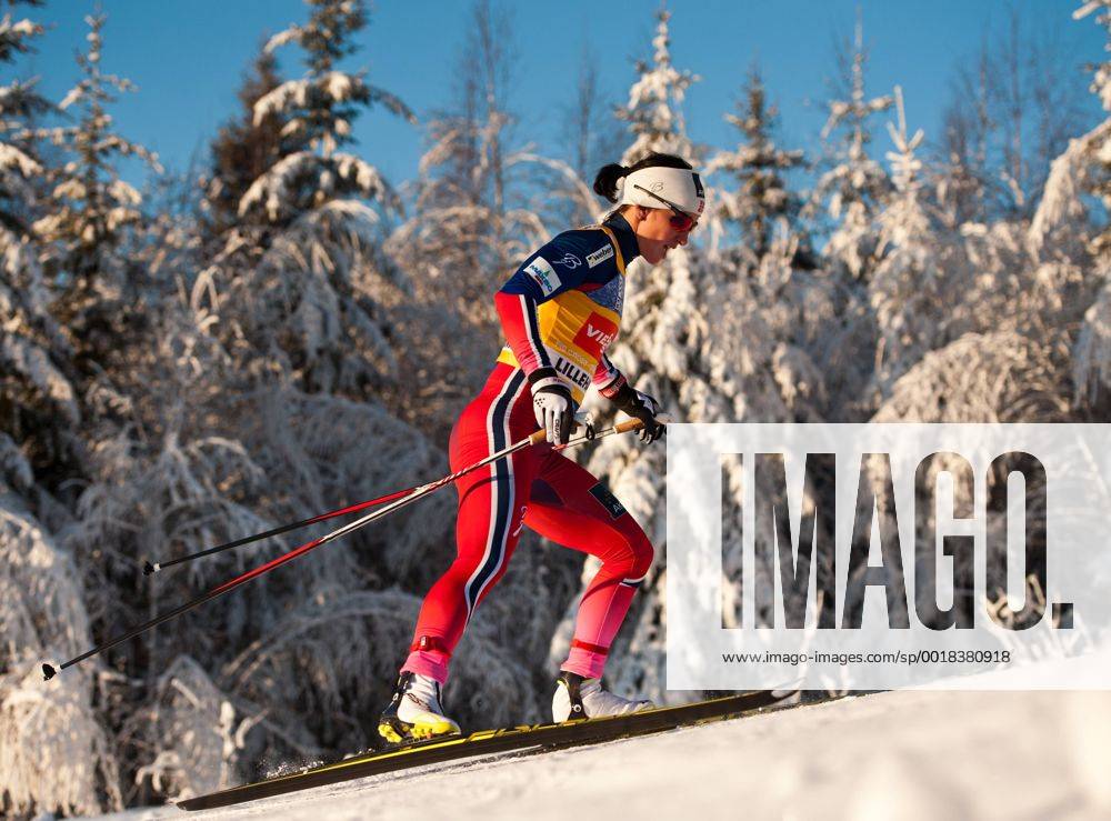 Aktuell Langlauf, Weltcup in Lillehammer, 5km der Damen Marit BJOERGEN (NOR) Skilanglauf, 5km Freistil der Frauen am 06.12.2014 -- Wintersport FIS Ski Nordisch Weltcup, Saison 2014 2015 in Lillehammer, Norwegen,
