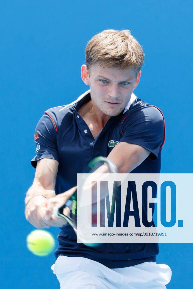 20th seed David Goffin (BEL) in action in a 1st round match on day one of the 2015 Australian Open grand slam tennis tournament at Melbourne Park in Melbourne, Australia. SydneyTennis 2015: Australian Open JAN 19 - ZUMAc04_