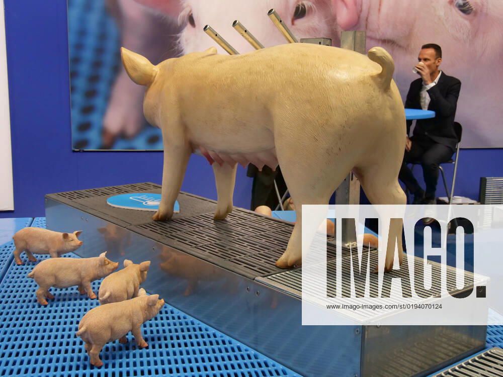 Impressions and tour of the EuroTier 2022 in the Hanover Fair from 15 11 18 11 2022 EuroTier 2022