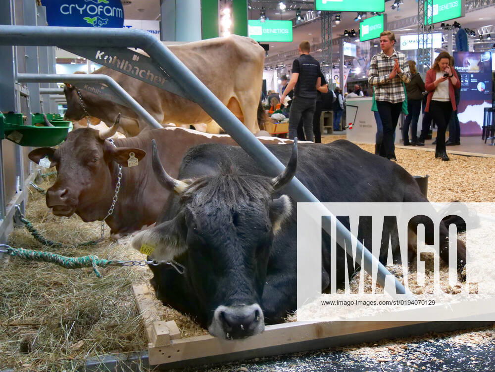 Impressions and tour of the EuroTier 2022 in the Hanover Fair from 15 11 18 11 2022 EuroTier 2022