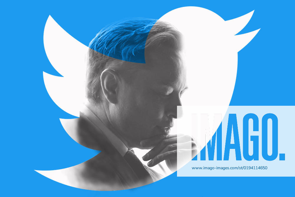 Symbol photo thoughtful Elon Musk and Twitter symbol image logo of the short message service Twitter and Elon Musk photo montage Germany DEU