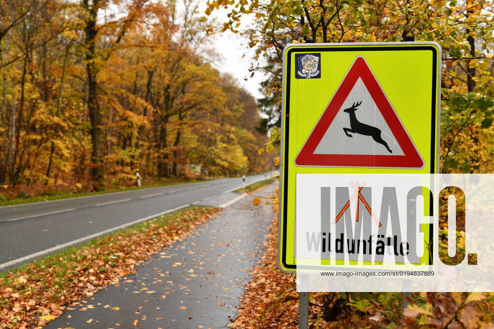 Traffic sign Achtung Wildwechsel and indication of markings for wildlife accident sites near Goslar 17 11 2023
