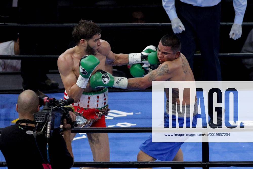 Brooklyn, New York, USA - PRICHARD COLON and DANIEL CALZADA (blue trunks) battle in a junior middleweight bout at the Barclays Center in Brooklyn, New York. Boxing 2015 - Prichard Colon vs. Daniel Calzada - ZUMAp109