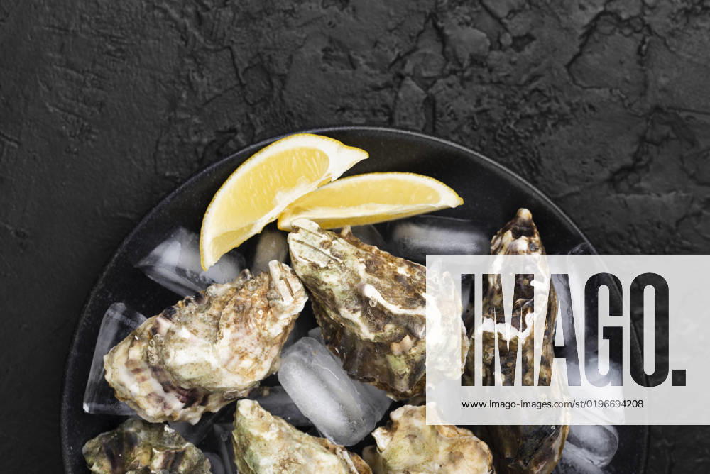 Top view plate with oysters lemon slices. High quality and resolution beautiful photo concept top view plate with oysters lemon slices. Resolution and high quality beautiful photo