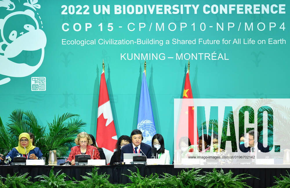 KW50 (221216) -- MONTREAL, Dec. 16, 2022 -- The opening ceremony of the high-level segment of the second part of the 15th meeting of the Conference of the Parties to the Convention on Biological Diversity (COP15) is held in Montreal, Canada, Dec. 15, 2022. ) CANADA-MONTREAL-COP15-PART 2-HIGH-LEVEL SEGMENT-OPENING CEREMONY LianxYi
