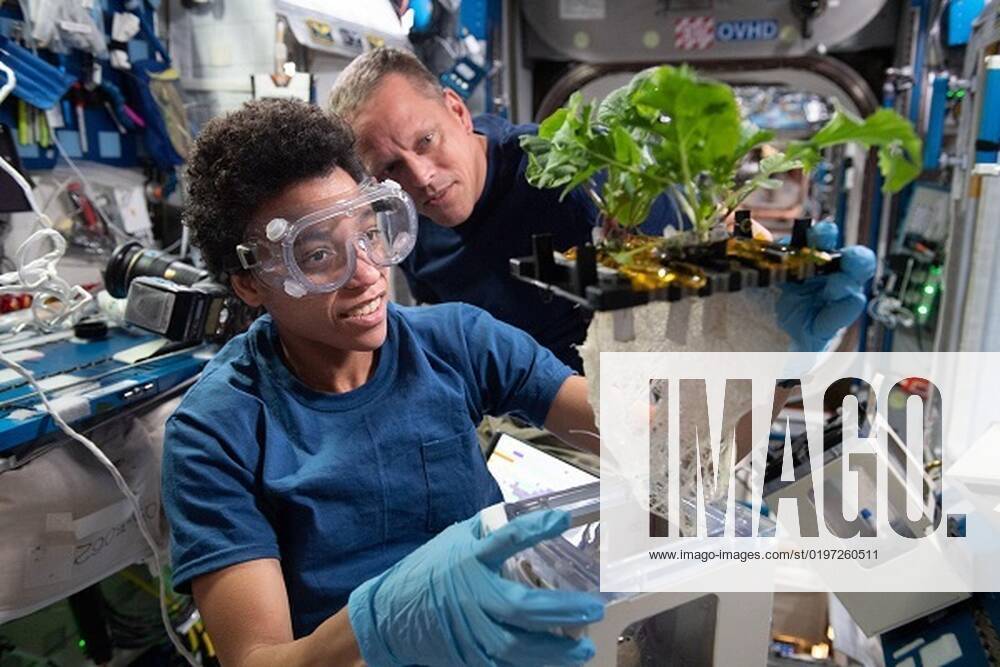 Bilder von der Internationalen Raumstation ISS **VIDEO AVAILABLE: CONTACT INFO@COVERMG.COM TO RECEIVE** This image shows: NASA astronauts Jessica Watkins and Bob Hines work on XROOTS, which uses the space station?s Veggie facility to test hydroponic and aeroponic techniques to grow plants rather than using traditional soil. These techniques could enable large-scale crop production for future space exploration. NASA have released some of the best scientific images taken on the International Space Station in 2022, as it continues its scientific journey orbiting over 200 miles above the Earth?s surface. Spacecraft carried crew from around the world to and from the space station, where they participated in and supported hundreds of scientific investigations and technology demonstratio