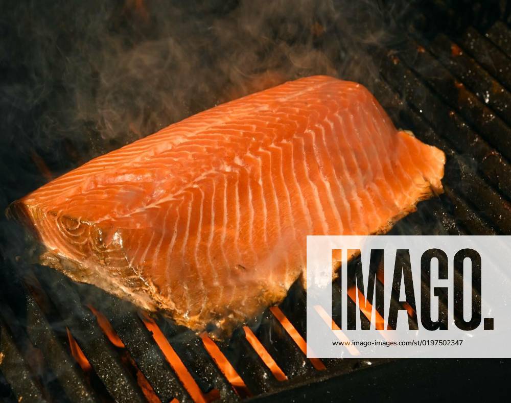 Searing and smoking salmon fish fillet on grill, Close up searing and smoking salmon fish fillet on open fire outdoor grill with cast iron metal grate, high angle view, Close up searing and smoking salmon fish fillet on open fire outdoor grill with cast iron metal grate, high angle view, 23.09.2022,