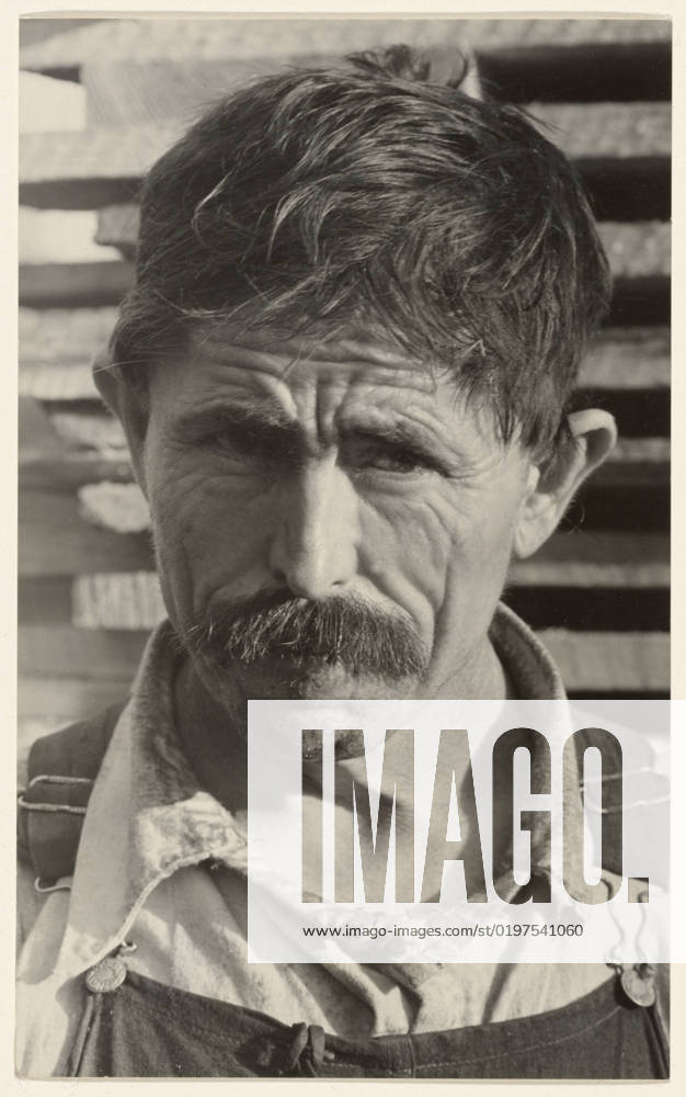 Frank Tengle, A Cotton Sharecropper, Hale County, Alabama Fred Ricketts, Cotton Tenant Farmer. Walker Evans (American, 1903 - 1975)