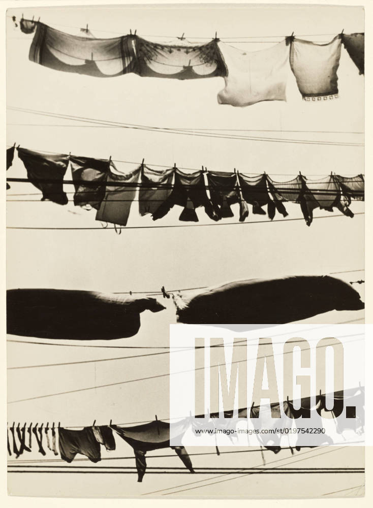 Washington Street, New York City Wash Day. Walker Evans (American, 1903 - 1975)