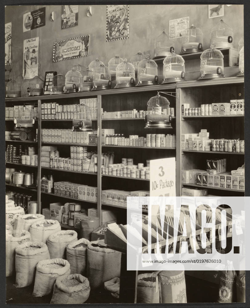 Seed Store, Interior, Vicksburg, Mississippi. Walker Evans (American, 1903 - 1975)