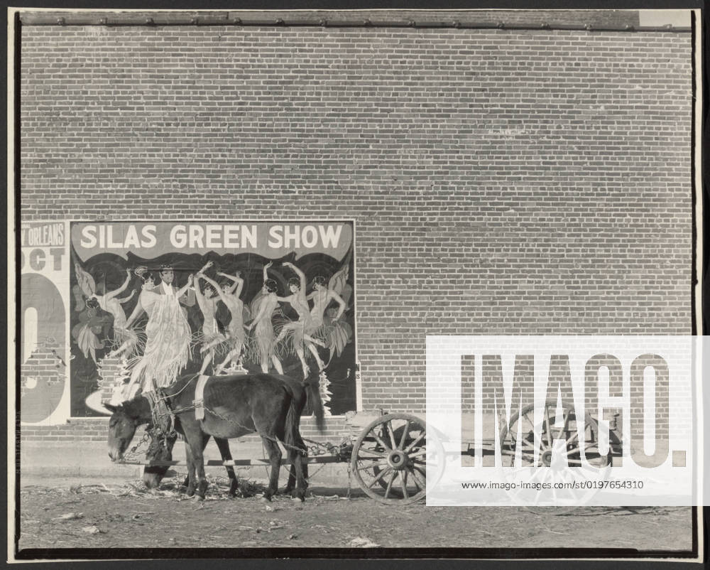 Mule Team and Poster, Demopolis, Alabama. Walker Evans (American, 1903 - 1975)