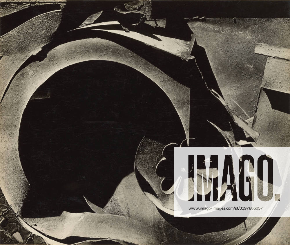 Tin Relic. Walker Evans (American, 1903 - 1975)