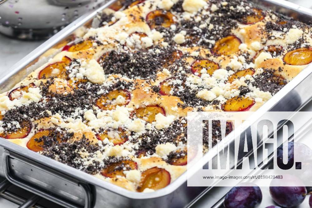 IMAGO Creative, Herbst, Food, Pflaumenkuchen plum pie with poppy seeds and crumble, plum pie with poppy seeds and crumble, plum pie with poppy seeds and crumble, 18.11.2022,