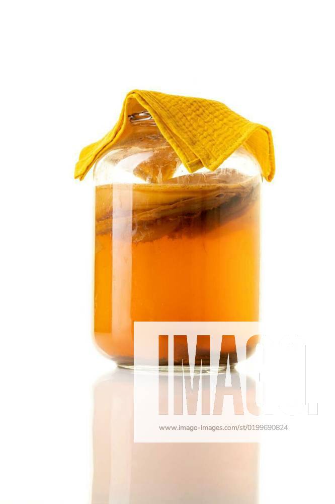 Jar of fermenting kombucha isolated on white, Jar of fermenting kombucha isolated on white, Jar of fermenting kombucha isolated on white, 22.12.2022,
