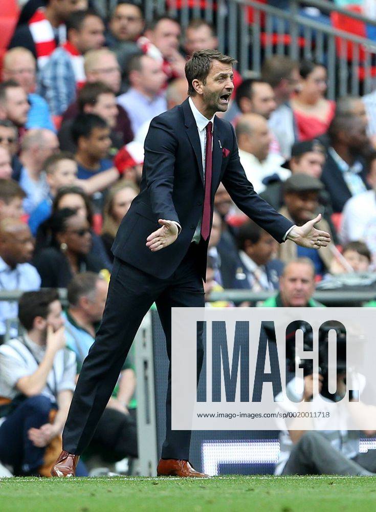 Aston Villa s Tim Sherwood in action FA Cup Final - Arsenal vs Aston Villa - Wembley Stadium - England - 30th May 2015 - Picture David Klein Sportimage .