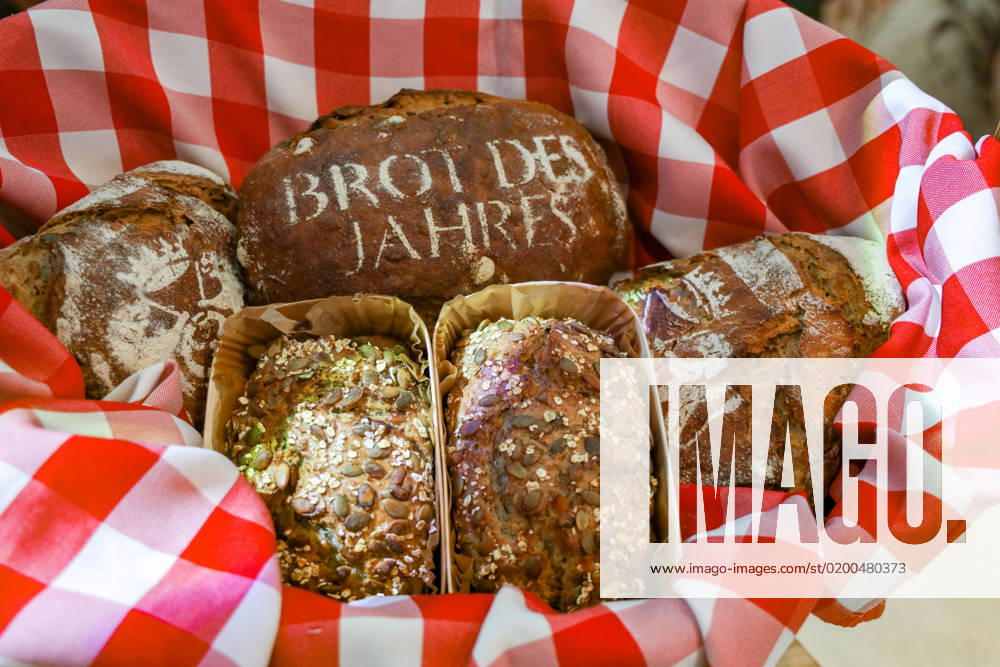 German Bread Institute announces Bread of the Year Pumpkin Seed Bread DEU, Germany, Berlin, 23 01 2023 International Green Week Bread of the Year, cutting and tasting by the Federal Minister of Agriculture.