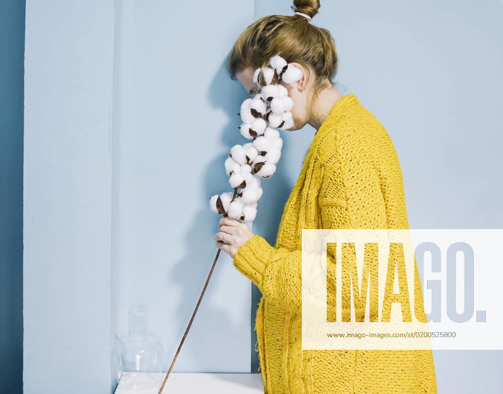 Woman covering face with cotton plant at home model released, Symbolfoto, SVCF00286