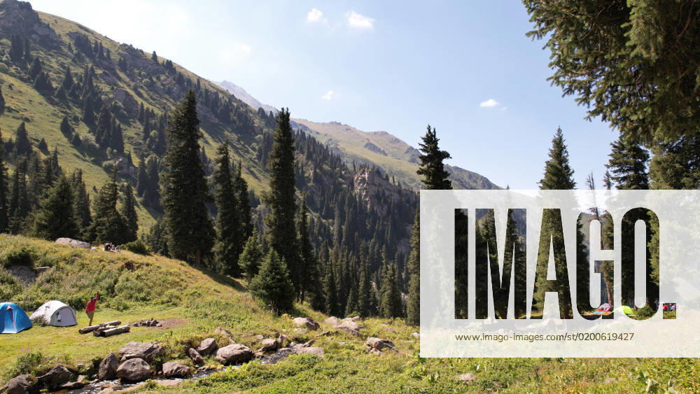 A small pond and a stream in a mountain forest. The river runs through green meadows, bright flowers. Coniferous trees are growing. Large stones along the river. A place for camping. Several tents , 38902882.jpg, pond, river, forest, mountains, tents, tourists, drone, flowers, glade, shadows, coniferous trees, christmas trees, camping, recreation, climbing, camp, bridge, transparent, reflection, travel, kazakhstan, almaty, above, view, water, summer, sky, mountain, landscape, trees, green, surface, sun, flow, clear, clean, rocks, nature, lake, environment, creek, beautiful, shore, scenery, bay, wood, white, water surface, travels, meadows