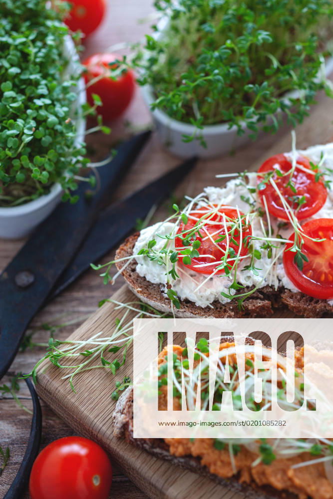 Microgreens delicious rustic rye bread with vegetable spreads, tomato and fresh microgreens on wooden table, portrait Germany