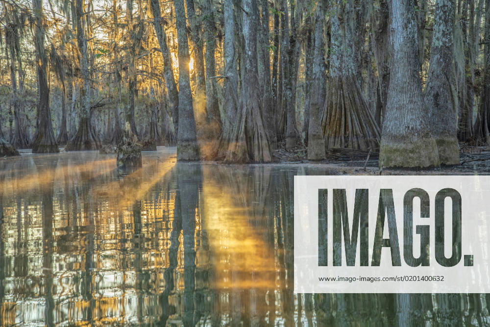 USA, Deep South, Louisiana ,Atchafalaya Basin, Lafayette, Lake Martin, sunrise