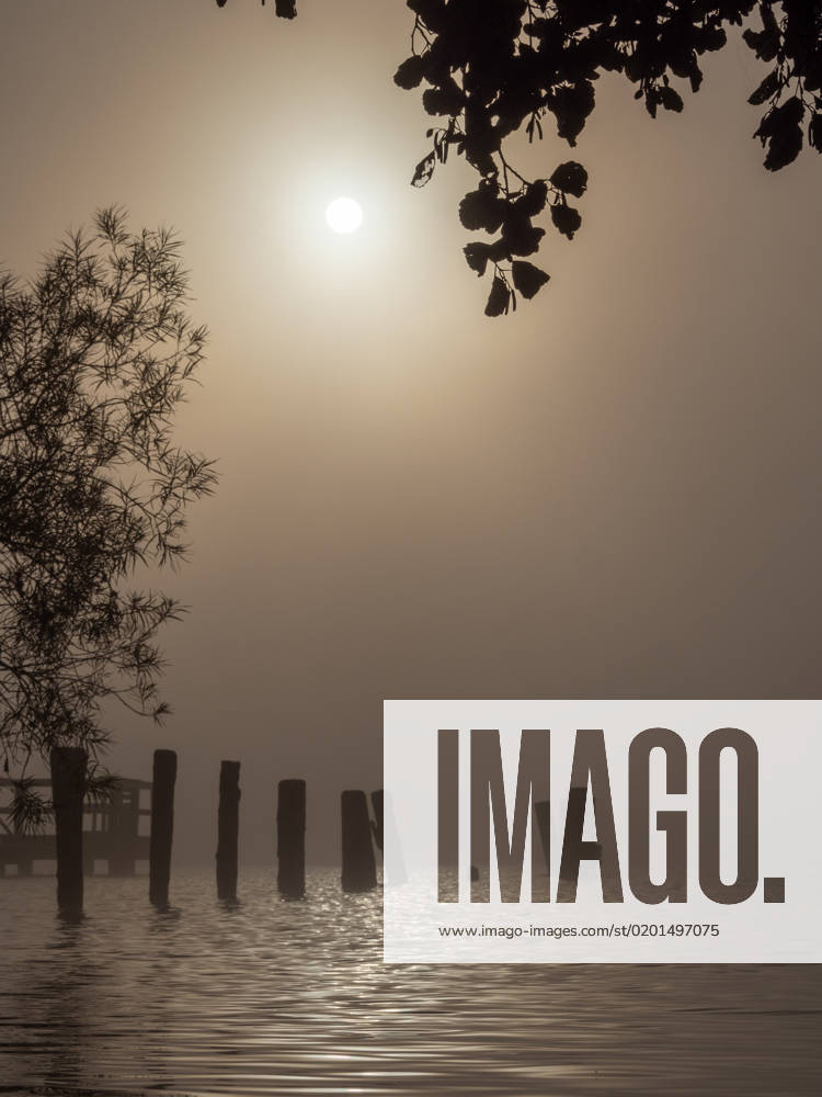 Different wooden poles are standing in the water of a lake in fog at sunrise