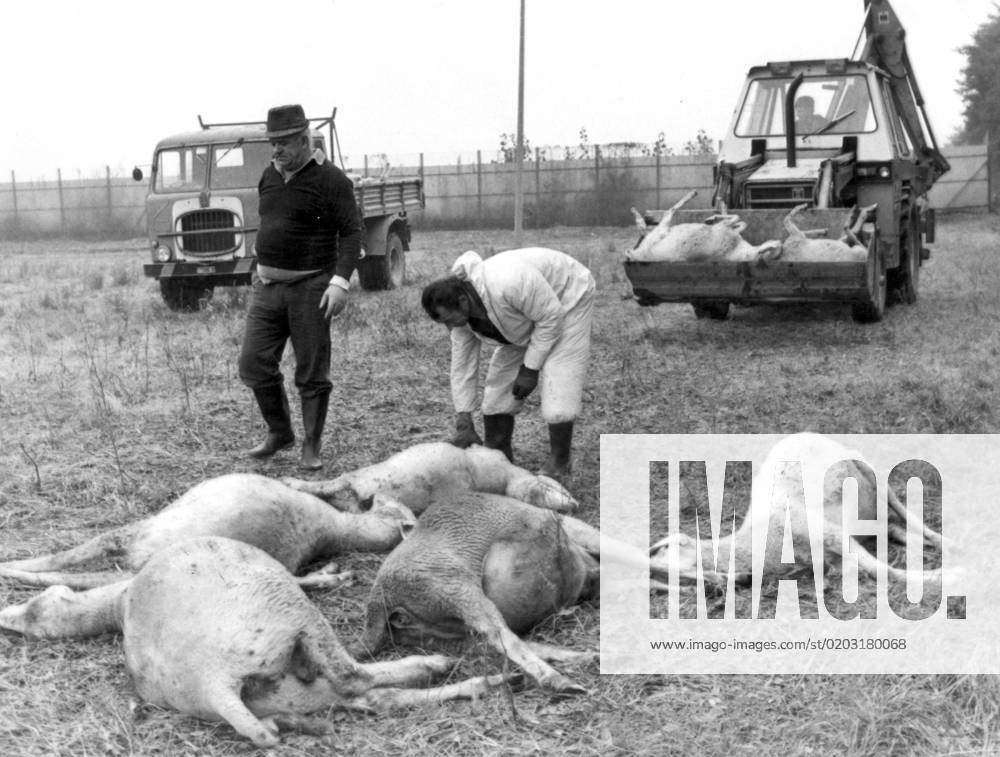 IMAGO stock photo