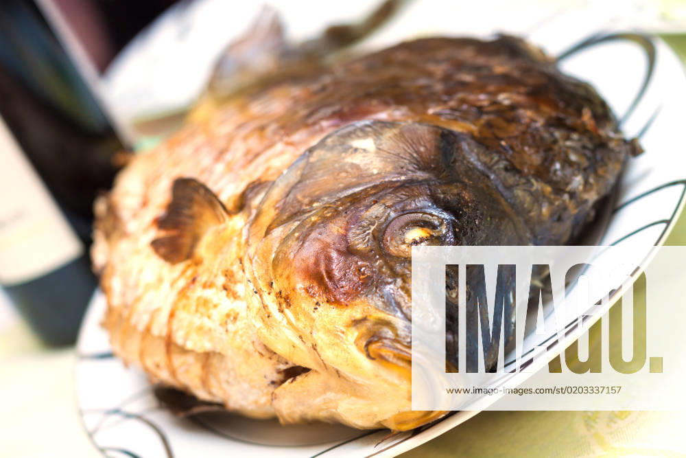 IMAGO Creative, Food, Karpfen-Saison Baked carp in a plate with wine in background