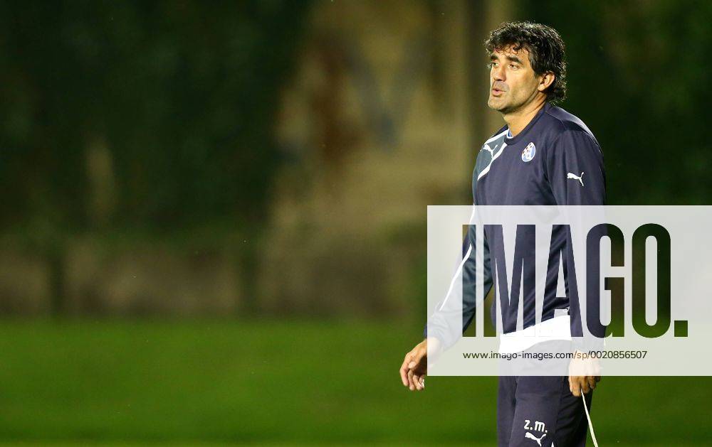 UEFA Champions League play-offs - second leg - GNK Dinamo - training 24.08.2015., Zagreb, Croatia - Coach of GNK Dinamo Zoran Mamic during a training session ahead of their UEFA Champions League play-offs second leg against KF Skenderbeu. SlavkoxMidzor PIXSELL
