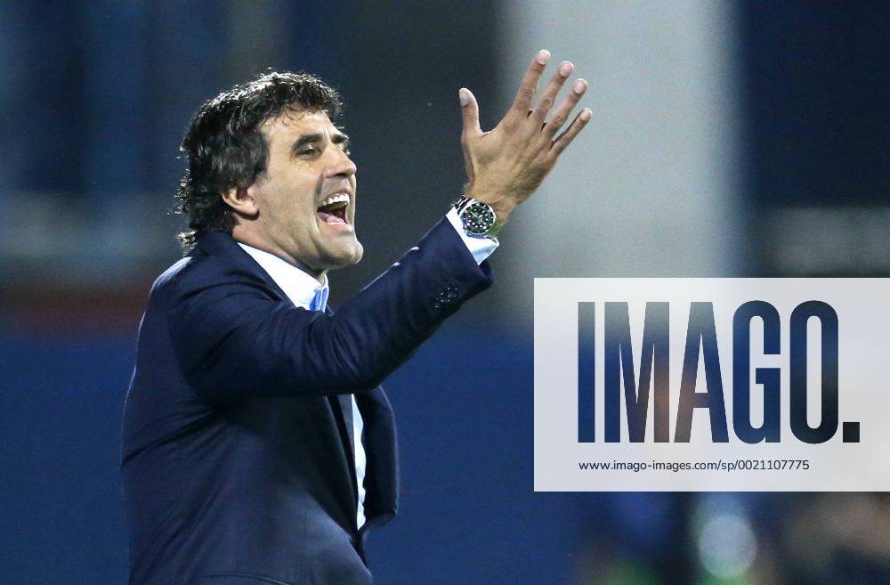 Champions League - Dinamo - Arsenal 16.09.2015.,Croatia, stadium Maksimir, Zagreb - UEFA Champions League, Group F, 1 st. round GNK Dinamo - Arsenal FC. Zoran Mamic SanjinxStrukic PIXSELL