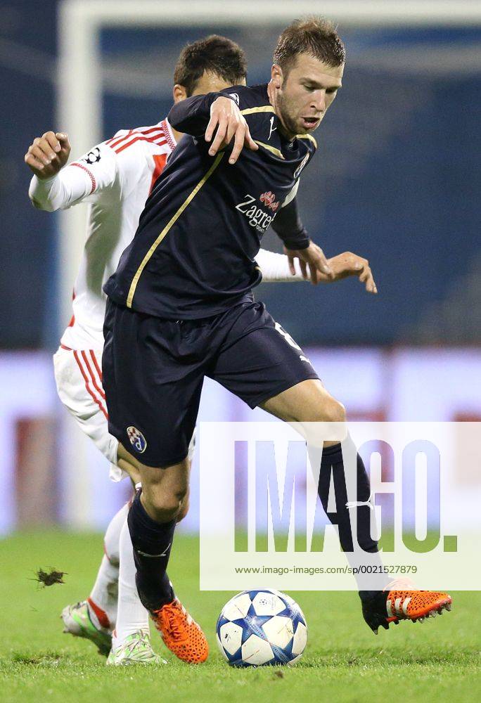 UEFA Champions League, Group F, Round 3, GNK Dinamo - FC Olympiakos 20.10.2015., Croatia, Zagreb - Maksimir Stadium - UEFA Champions League, Group F, Round 3, GNK Dinamo - FC Olympiakos. Domagoj Antolic. IgorxKralj PIXSELL