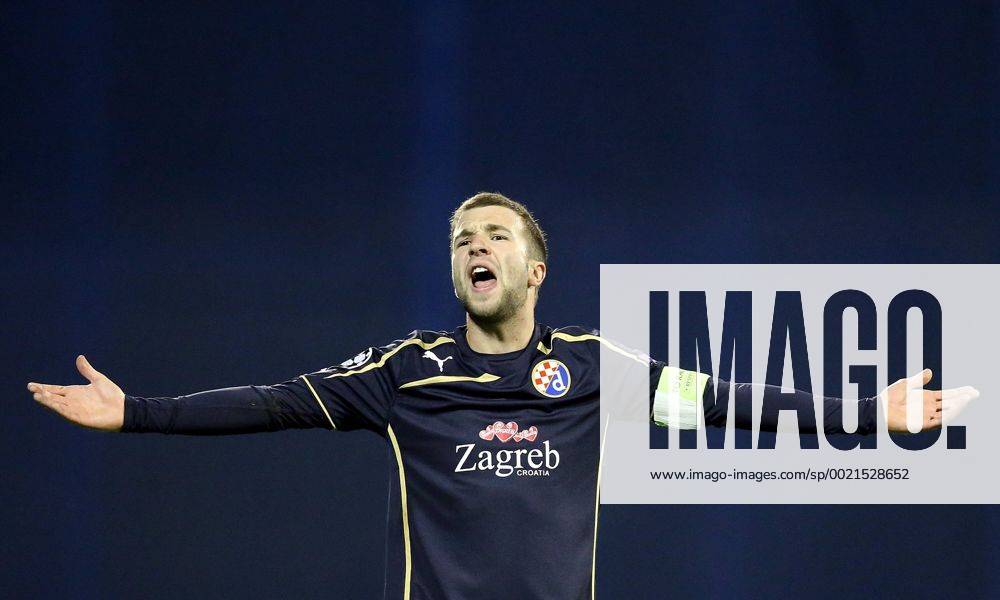 UEFA Champions League, Group F, Round 3, GNK Dinamo - FC Olympiakos 20.10.2015., Croatia, Zagreb - Maksimir Stadium - UEFA Champions League, Group F, Round 3, GNK Dinamo - FC Olympiakos. Domagoj Antolic. IgorxKralj PIXSELL