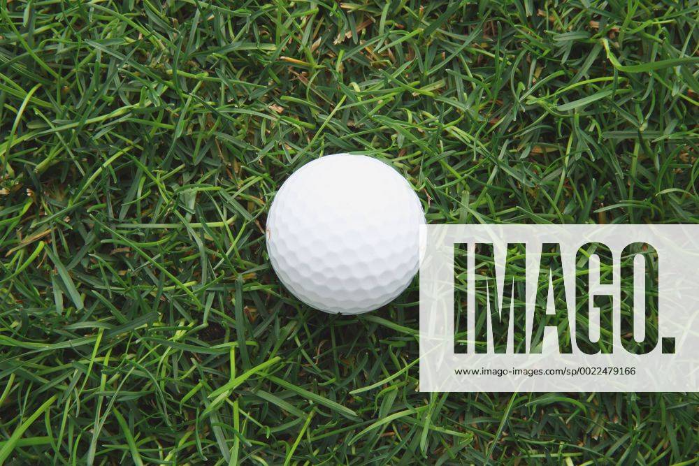 Golf ball on grass (hlng003366)
