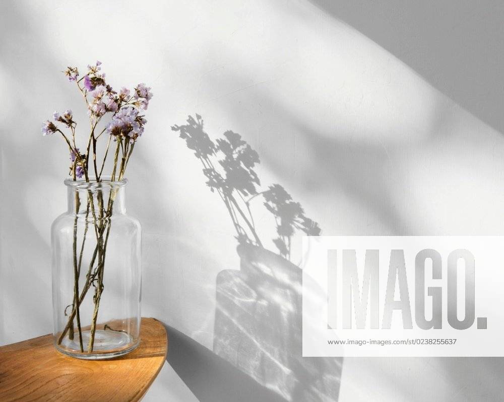 Abstract minimal concept flowers shadows. Beautiful photo. abstract minimal concept flowers shadows