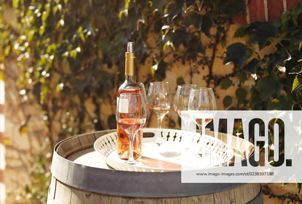 Many glasses and bottle of rose wine in the autumn vineyard Many glasses and bottle of rose wine in the autumn vineyard, degustation concept