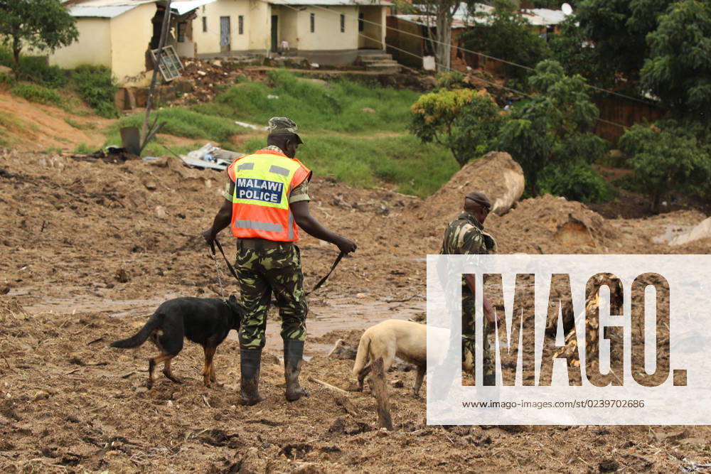 KW11 (230318) -- BLANTYRE, March 18, 2023 -- Police officers conduct search and rescue work with sniffer dogs at a cyclone-affected area in Blantyre, Malawi, March 17, 2023. More bodies have been recovered in Malawi s southern region hit by Cyclone Freddy, bringing the total death toll to at least 438 as of 09:00 p.m. local time (1900 GMT) Friday, said the country s Department of Disaster Management Affairs. The death toll rose from Thursday s 326, said the department in its fifth update, adding that approximately 345,183 people (or 79,602 households) have been displaced and 505 camps have been set up to accommodate them. (Photo by Xinhua) MALAWI-BLANTYRE-CYCLONE-DEATH TOLL JosephxMizere